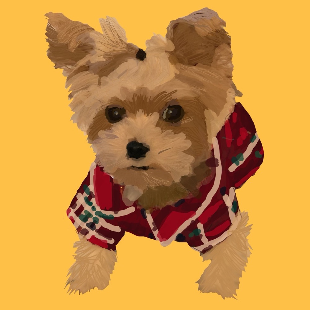 Meet your Posher, Iz